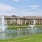 lake with fountains